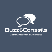 Logo Buzz et Conseils agence de communication bordeaux gironde